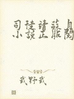 司徒靖苏月汐的小说正版阅读