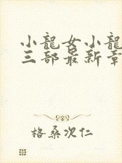 小龙女小龙女第三部最新章节免费阅读