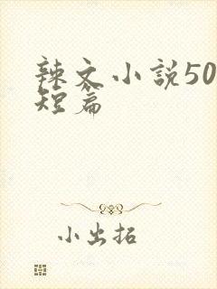 辣文小说500短篇