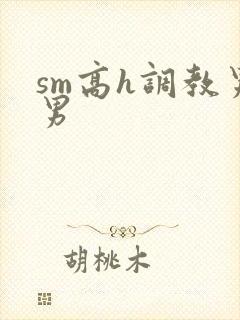 sm高h调教男男