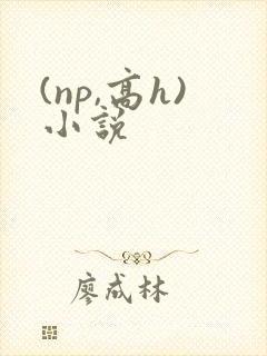 (np,高h)小说