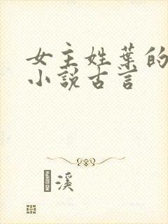 女主姓叶的穿越小说古言封面