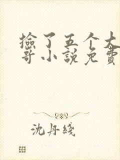 捡了五个大佬哥哥小说免费阅读封面