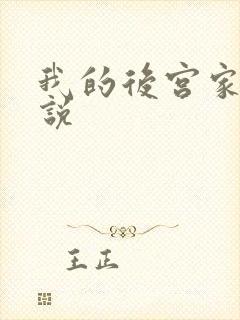 我的后宫家人小说