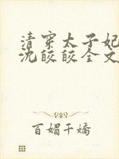 清穿太子妃康熙沈皎皎全文阅读