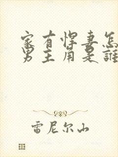 家有悍妻怎么破男主角是谁