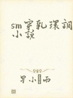 sm穿乳环调教小说