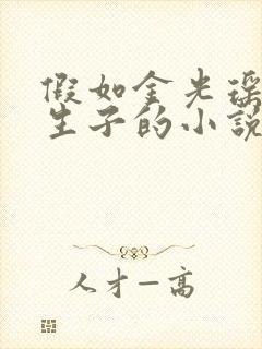 假如金光瑶是双生子的小说