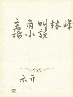 主角叫林峰的官场小说