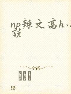 np辣文高h小说封面