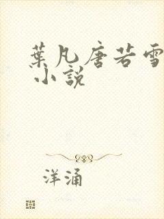 叶凡唐若雪医婿 小说