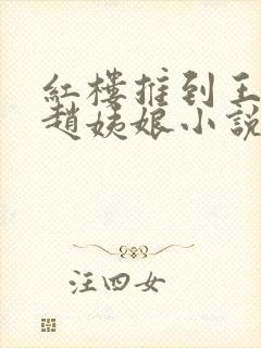 红楼推到王夫人赵姨娘小说