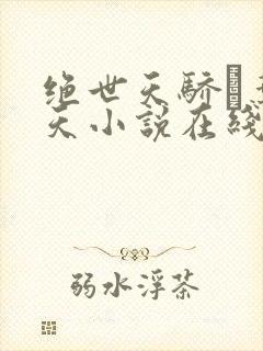 绝世天骄·叶凌天小说在线