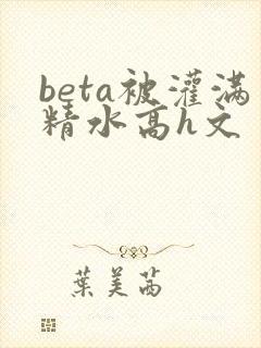 beta被灌满精水高h文封面