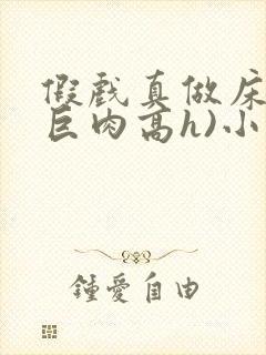 假戏真做床戏(巨肉高h)小说