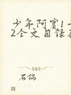 少年阿宾1一72全文目录在线