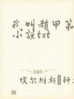 我叫赵甲第原著小说txt封面