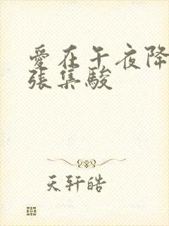 爱在午夜降临前张集骏