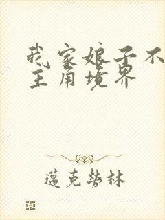 我家娘子不对劲主角境界