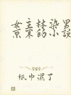 女主林染男主沈京寒的小说