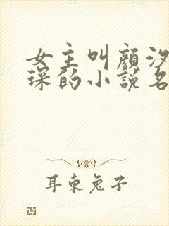 女主叫颜汐陆霆琛的小说名字