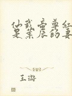 仙武帝尊红尘雪是叶辰的妻子吗