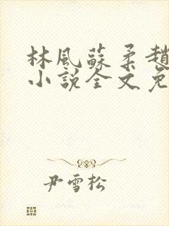 林风苏柔赵刚的小说全文免费阅读第十一章