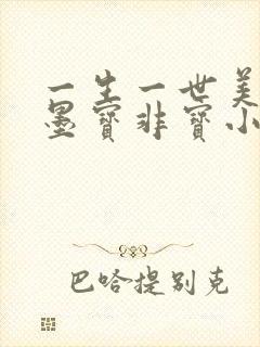 一生一世美人骨墨宝非宝小说全集免费阅读