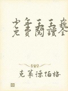 少年王王巍小说免费阅读全文下载