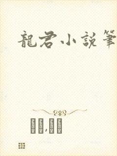 龙君小说笔趣阁