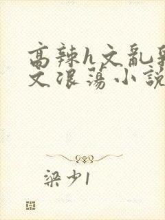 高辣h文乱乳h文浪荡小说