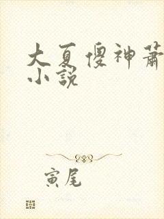 大夏傻神萧天路小说