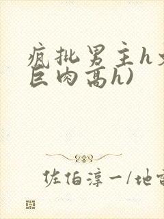 疯批男主h文(巨肉高h)