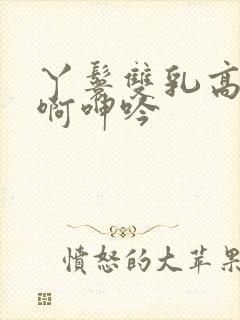 丫鬟双乳高耸嗯啊呻吟