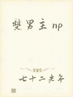双男主 np
