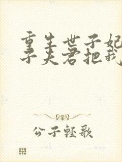 重生世子妃:傻子夫君把我娇养了