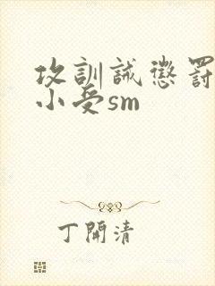 攻训诫惩罚调教小受sm封面