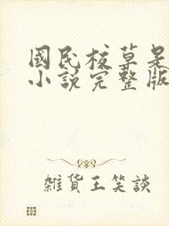 国民校草是女生小说完整版