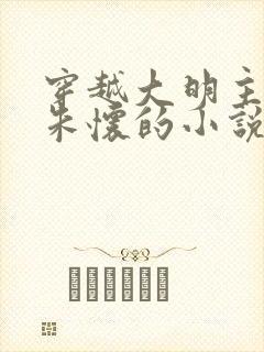 穿越大明主角叫朱怀的小说