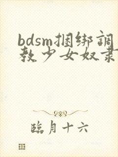 bdsm捆绑调教少女奴隶小母狗视频