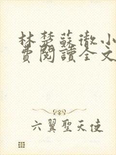 林楚苏彻小说免费阅读全文最新章节