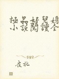 极品好儿媳苏媚小说阅读全文最新章