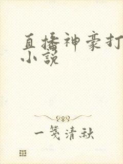 直播神豪打赏类小说