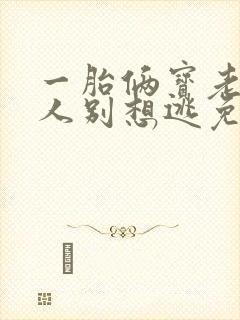 一胎俩宝老婆大人别想逃免费阅读