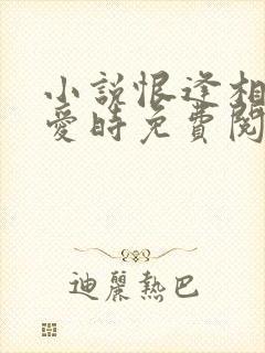 小说恨逢相遇不爱时免费阅读