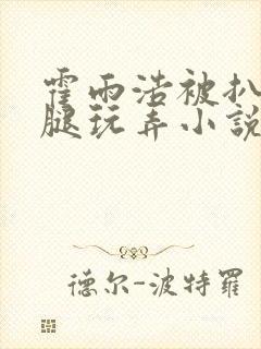 霍雨浩被扒开双腿玩弄小说封面