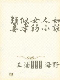 类似女人如雾,妻孝的小说