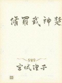 修罗武神楚枫封面