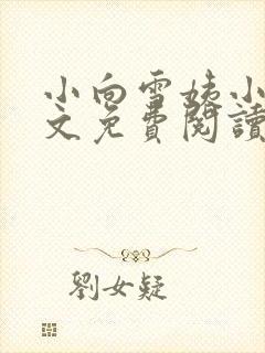 小向雪姨小说全文免费阅读最新章节封面