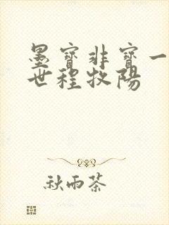 墨宝非宝一生一世程牧阳